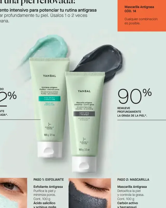 Tratamiento Antigrasa - Mascarilla Antigrasa